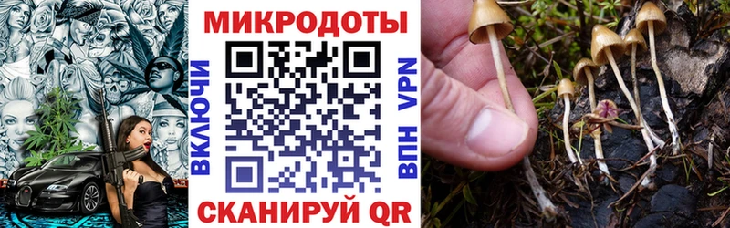 omg ONION Высоковск Псилоцибиновые грибы мухоморы