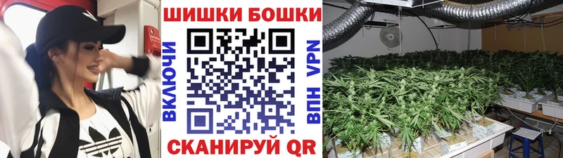 МАРИХУАНА марихуана МЕГА зеркало Высоковск